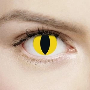 Wild Yellow Cat 1 Day Halloween Coloured Contact Lenses (MesmerEyez XtremeEyez)