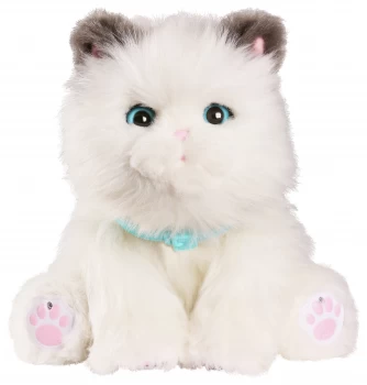 Little Live Pets Cuddles My Dream Kitten Toy Playset Fun 28330