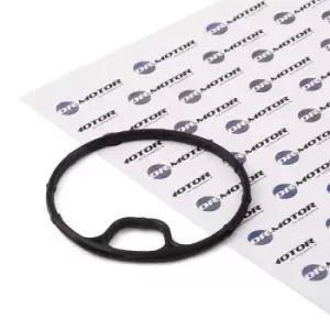 DR.MOTOR AUTOMOTIVE Gaskets OPEL DRM0101 5650905,90536363 Seal, oil filter housing