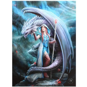 Small Dragon Mage Canvas Picture by Anne Stokes