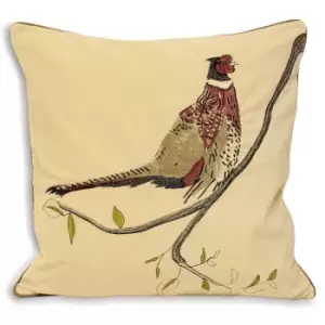 Riva Home Hunter Velvet Pheasant Cushion Cover (45x45cm) (Natural) - Natural