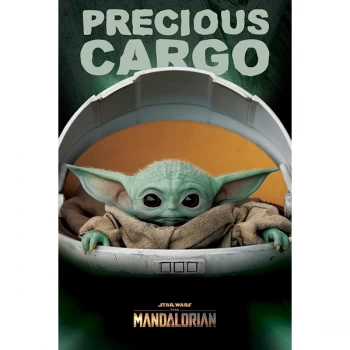 Star Wars: The Mandalorian - Precious Cargo 61 x 91.5cm Maxi Poster