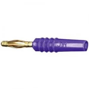 Straight blade plug Plug straight Pin diameter 2mm Violet Stae