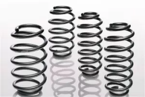 EIBACH Suspension Kit, coil springs Set of 2 springs E10-20-022-05-20 BMW,5 Touring (F11),5 Limousine (F10)