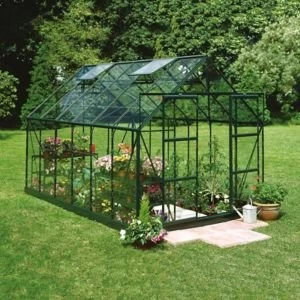 BQ Metal 8x10 Horticultural glass greenhouse