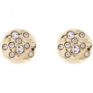 Ladies Karen Millen Crystal Sprinkle Stud Earrings