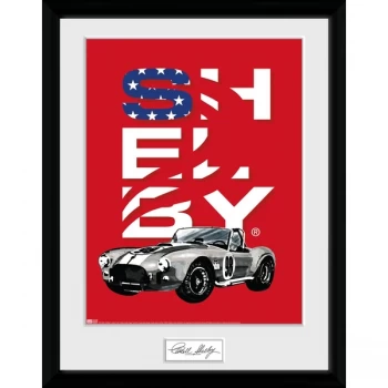 Shelby - Stars Collector Print