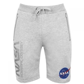Alpha Industries NASA Shorts - Grey Heather 17