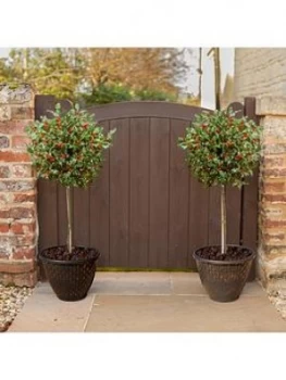 Pair Holly Tree Standards In Berry With 2 Gold Decoplanters