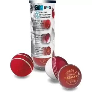 Gunn And Moore And Moore BS55 3 Ball Pack Junior Boys - Red