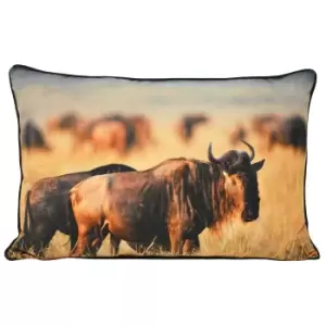 Riva Home Wildebeest Cushion Cover (40x60cm) (Tan)