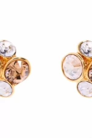 Ted Baker Ladies PVD Gold plated Lynda Jewel Cluster Stud Earring TBJ496-02-62
