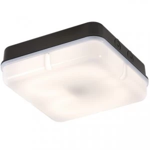 Emergency Bulkhead with Opal Diffuser and Black Base, IP65 28W Square