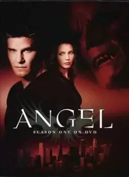 Angel: Season 1 - DVD - Used