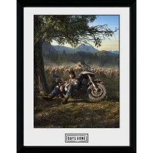 Days Gone Collector Print