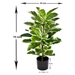 Greenbrokers Artificial Rubber Plant In Pot 75Cm/2ft