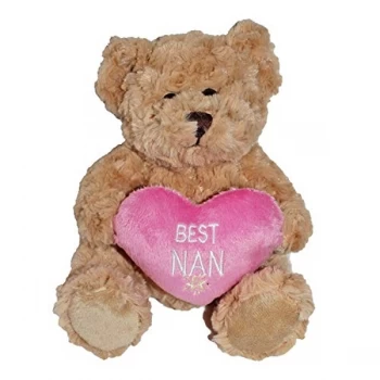 Brown Teddy Bear with Pink Heart - Best Nan (One Random Supplied)