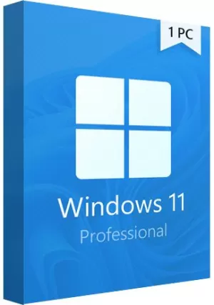 Microsoft Windows 11 Professional 64bit