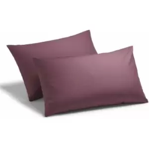 Charlotte Thomas - Poetry Plain Dye 144 Thread Count Combed Yarns Aubergine Housewife Pillowcase Pair - Purple