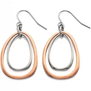Ladies Fiorelli Two-Tone Steel and Rose Plate Earrings