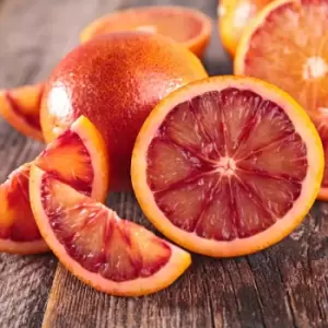 YouGarden Blood Orange Citrus Tree in 6L Pot
