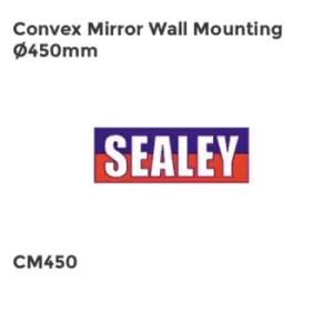 Convex Mirror Wall Mounting 450mm