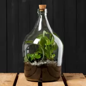 DIY Open Bottle Plant Terrarium Starter Kit - 3 litre