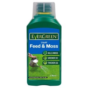 Evergreen Lawn Feeder and Moss Killer