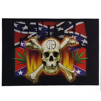 Pantera - CFH Skull & Flag Postcard
