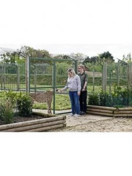 Virgin Experience Days Luxury Lodge Stay With Dining And Hand Feeding Experience For Two At The Big Cat Sanctuary, Kent