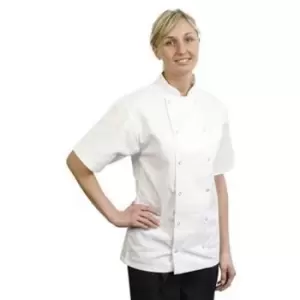 BonChef Adults Danny Short Sleeved Chef Jacket (XS) (White) - White
