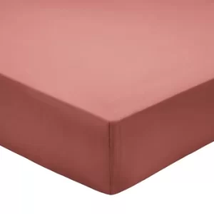 Bedeck of Belfast 200 Thread Count Pima Cotton Plain Dye Double Fitted Sheet, Marsala
