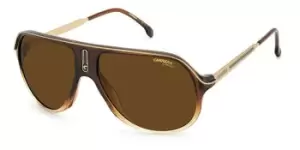 Carrera Sunglasses SAFARI65/N 0MY/70