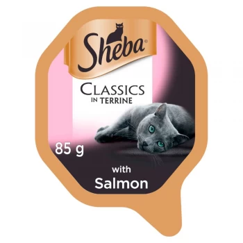 Sheba Classic Terrine Trays - Chicken (22 x 85g)
