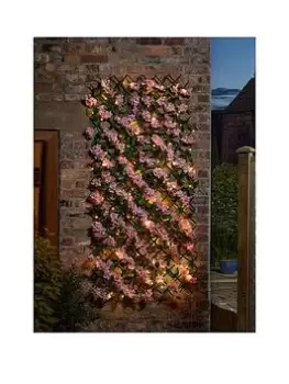 Smart Solar 50 LED Solar In-Lit Pink Blossom Trellis 180 X 60 Cm