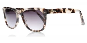 Taylor Morris Saratoga Sunglasses Grey / Tortoise C3 51mm