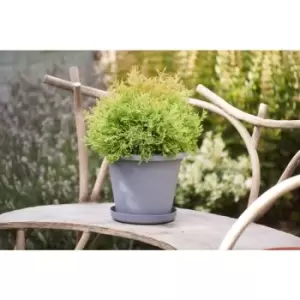 Clever Pots Reservoir Round Pot 20cm - wilko - Garden & Outdoor