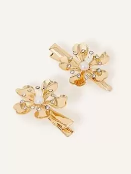 Accessorize 2 X Flower Snap Clips