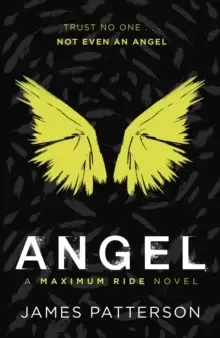 Angel: A Maximum Ride Novel : (Maximum Ride 7)
