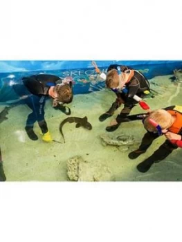 Virgin Experience Days Junior Snorkel With Baby Sharks At Skegness Aquarium