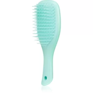 Tangle Teezer Mini Wet Detangler Hair Brush Travel type Sea Green