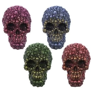 Fantasy Metallic Skull Ornament (1 Random Supplied)