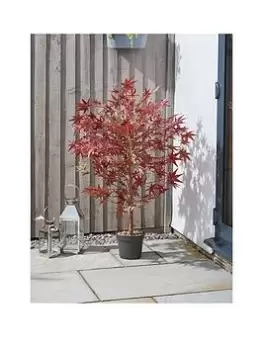 Smart Solar Red Acer Tree 120 Cm