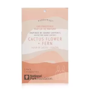 PaddywaxParks Car Fragrance - Grand Canyon 2packs