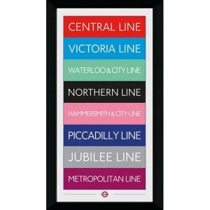 Transport For London Lines 50 x 100 Framed Collector Print
