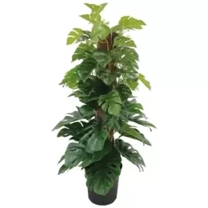 The Outdoor Living Company 60cm Cheese Plant 66 Leaves