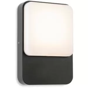 Firstlight Hero LED Wall Light Graphite with White Polycarbonate Diffuser IP54