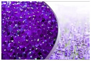 Canadian Spa Company Hot Tub Aromatherapy Lavender Relax