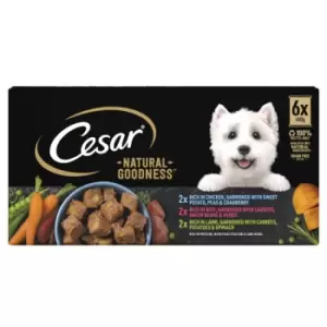 Cesar Natural Goodness Adult Wet Dog Food Tins Mixed In Loaf 6 x 400g - wilko