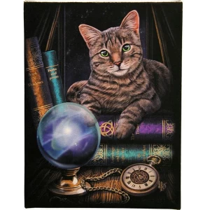 Small Fortune Teller Canvas Pictyre by Lisa Parker